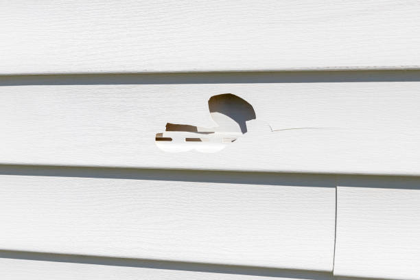 Best Garage Cleanout  in Lake Dalecarlia, IN
